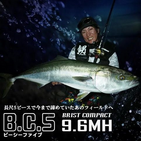 BC5 9.6MH