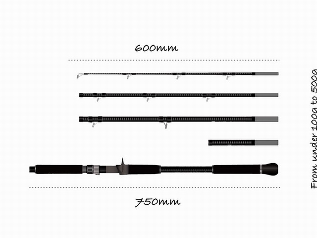 トランスセンデンス　KTX78B