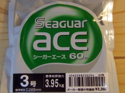 シーガーエース 60m