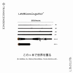 レイトブルーミングス