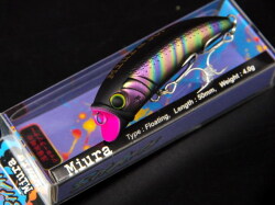 パームス（PALMS）