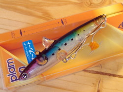 ヤマガブランクス アーリー フォー サーフ 99ML (EARLY for surf