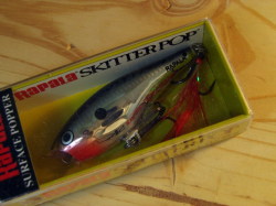 Rapala Skitter Pop Sp5 スキッターポップ Sp5 シーバスルアー専門店 キングフィッシャー