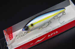 アピア　マイヨール80S