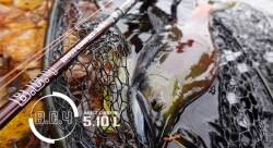 BC4　5.10L