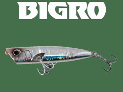 アピア グランデージエクストラ ノーザンライツリミテッド106ML