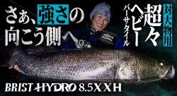 bristhydro85xxh
