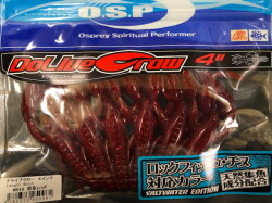 フィッシュマン×フィーモ ブリストブラックコモド7.5H 限定コラボ第二