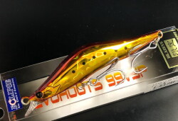 エクリプス×ブレイズアイ　エヴォルーツ99VSP