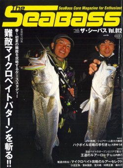 スタジオコンポジット TRANSWORLD 5114-5 【シーバスルアー専門店