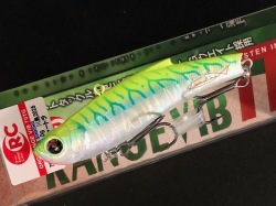 ワイルドルアーズ ワイルドビート 285mm/約185g 【シーバスルアー専門