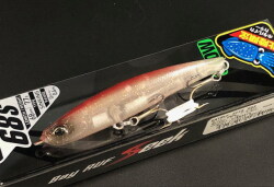 シーク　ホタルイカ