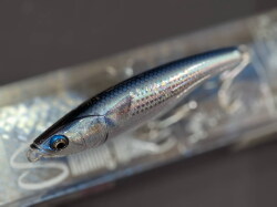 ダイワ 24セルテートLT-3000-XH 【シーバスルアー専門店 キング