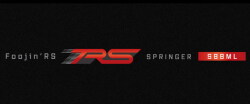 springers88ml