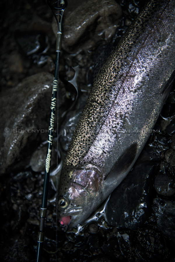 JetSlow×TULALA JetSetter 50S[RICO] (ジェットセッター50S