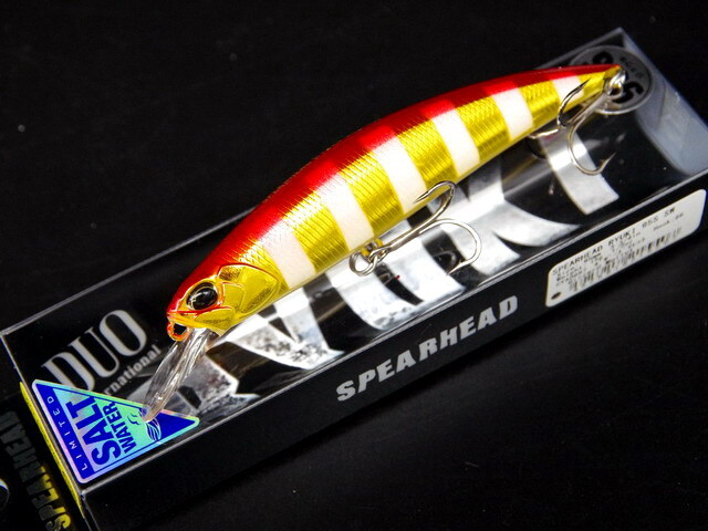 オリジナル veitchii ARS-D ベイチー oc pup トキントキン オリジナル veitchii ARS-D ベイチー oc pup トキントキン