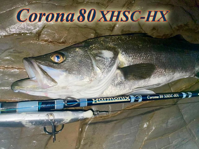 ツララ コローナ80XHSC-HX (Tulala HARMONIX Corona80XHSC-HX 