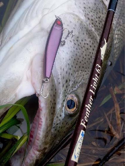 ツララ フェザーライト63 （Tulala Feather Light63）