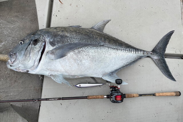 Dear Monster MX-8+ - Monster Kiss モンスターキス｜ルアーロッド 