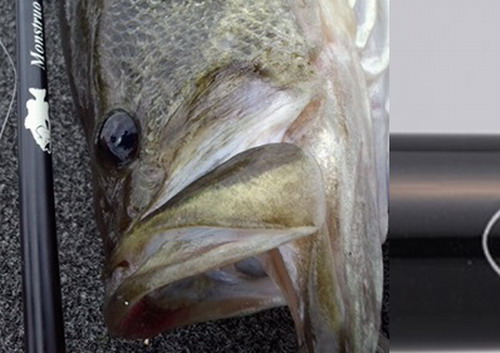 ツララ モンストロ 610Tulala Monstruo 610RM（Tulala Monstruo 610RM  