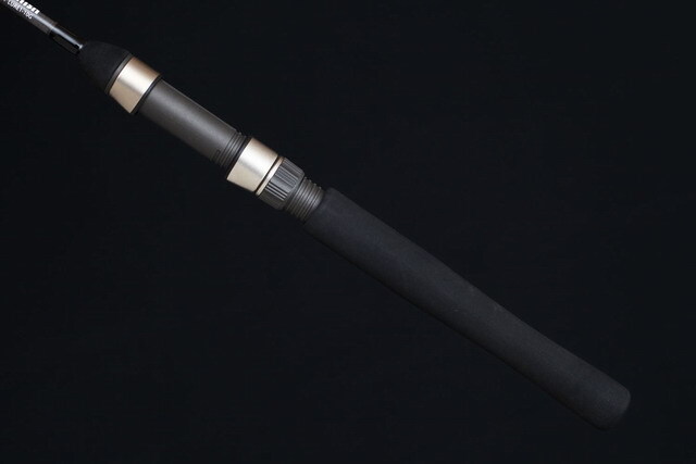 フィッシュ 天双メダカ】 アイスブレイク 極上 雌2匹 N137