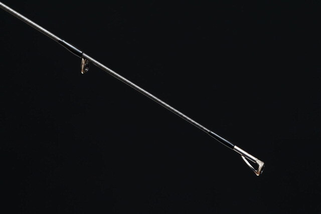 フィッシュ 天双メダカ】 アイスブレイク 極上 雌2匹 N137