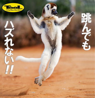 昌栄（TooL） ネットキーパー（Net Keeper） 【シーバスルアー