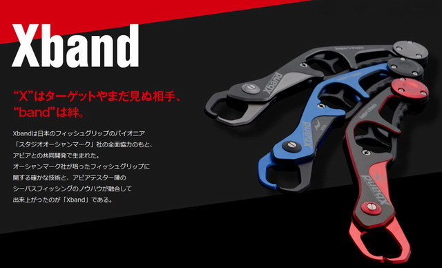 APIA Xband(アピア エクスバンド) 【シーバスルアー専門店 キング 