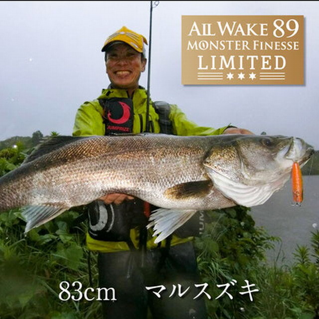 ジャンプライズ オールウェイク89モンスターリミテッド (ALL 