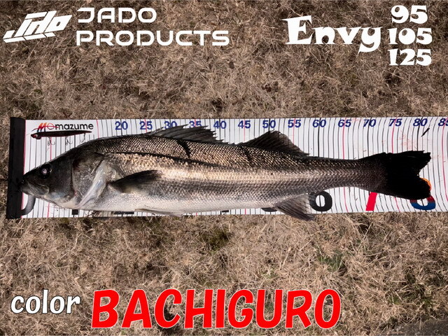 ジャドウプロダクツ（JADOPRODUCTS） Envy95（エンヴィー95