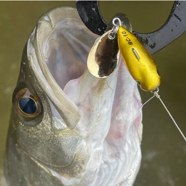 コアマン（COREMAN） BC-10 バックチャター 48mm/10g 【シーバスルアー