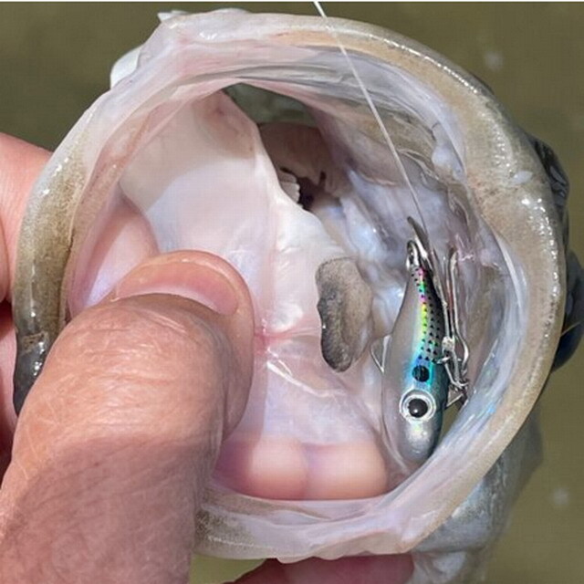 コアマン（COREMAN） BC-10 バックチャター 48mm/10g 【シーバスルアー