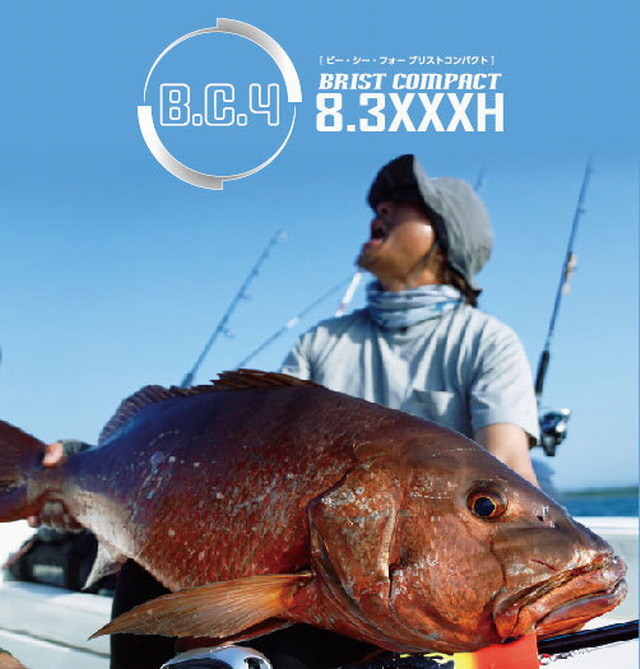 フィッシュマン ブリスト コンパクトB.C.4 8.3XXXH （Fishman BRIST 