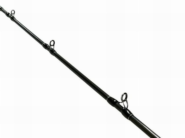 DAIWA - FISHCRMAN フィッシャーマン　キャスティング ハイシーズン到来！今時期のターゲットと使用ロッドについて