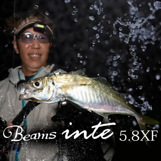 フィッシュマン(Fishman) ビームス インテ5.8XF（Fishman Beams inte5