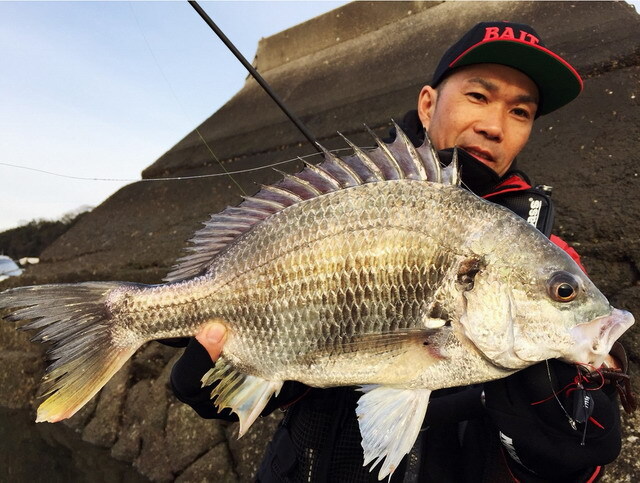 メガバス ボトルシュリンプ2.4inch【シーバスルアー専門店 キング