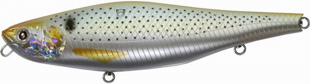 ザブラ ペンシル コノハ230 230mm/134g 【シーバスルアー専門店 キング