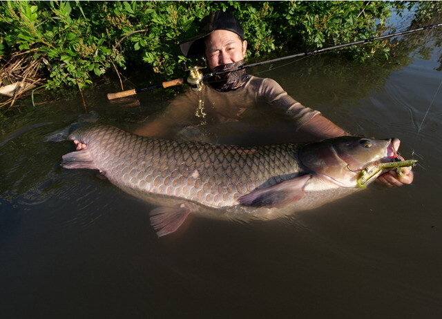 モンスターキス ディアモンスター MV-75 【シーバスルアー専門店  