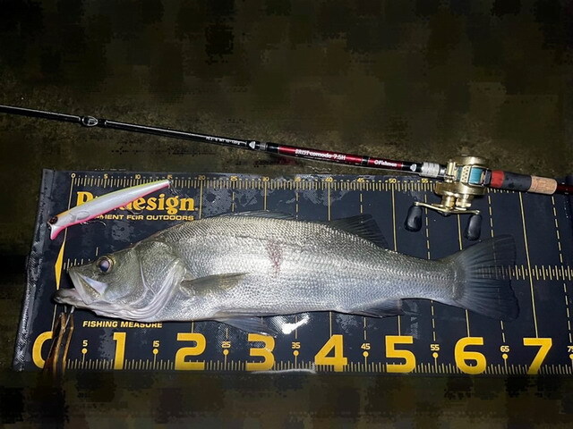 パズデザイン グランソルジャー190F 【シーバスルアー専門店 キング