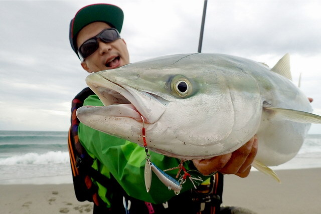 メガバス マキッパ60g【シーバスルアー専門店 キングフィッシャー】