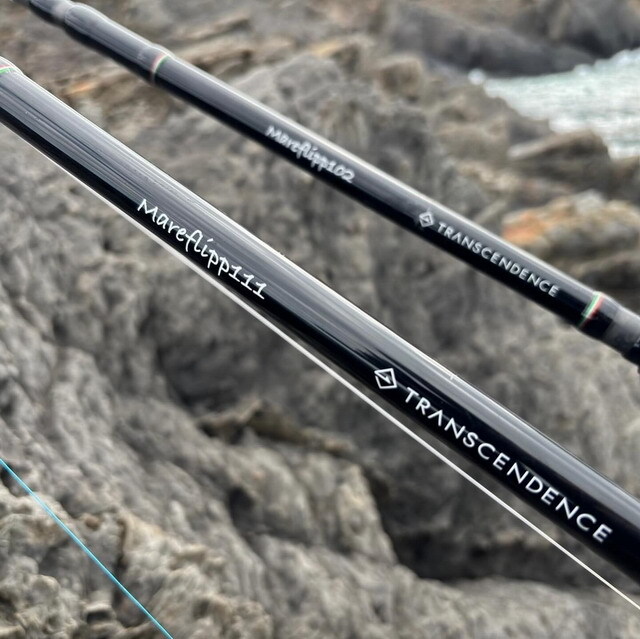 トランスセンデンス　マーレフリップ トランスセンデンスマーレフリップ