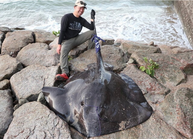 モンスターキス ディアモンスター MX-∞ 【シーバスルアー専門店