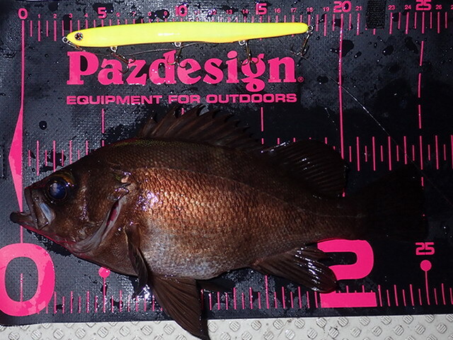 メジャー 62-9941-13 WIZ'A ロック付きメジャー（JIS付） 3.5m×16mm ピンク