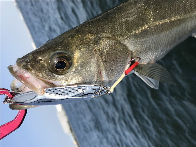 ジャドウプロダクツ（JADOPRODUCTS） 冷斬（レザン） 40g 78mm