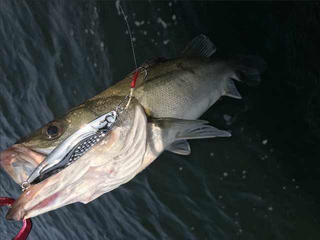 ジャドウプロダクツ（JADOPRODUCTS） 冷斬（レザン） 40g 78mm