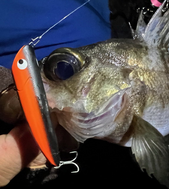 ゴーフィッシュ（Go-Phish） ショアーズ リップルGP F 極上 52mm/3.4g