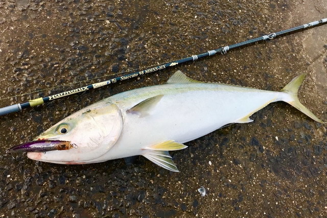 ツララ ハーモニクス スタッカート 98MHSS-HX 