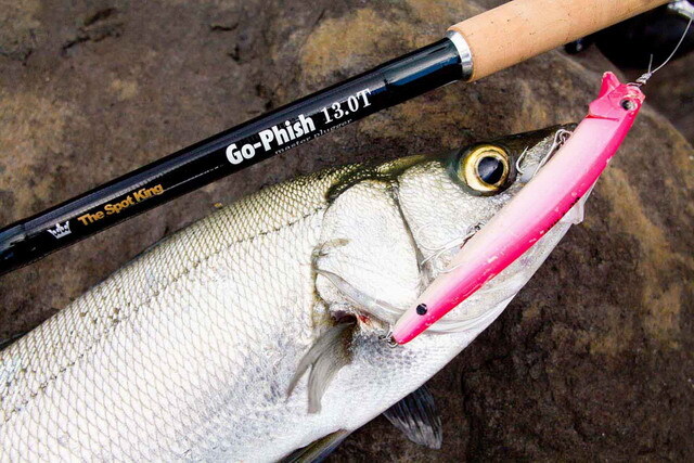 Go-Phish（ゴー・フィッシュ） TheSpotKing “master plugger”13.0T