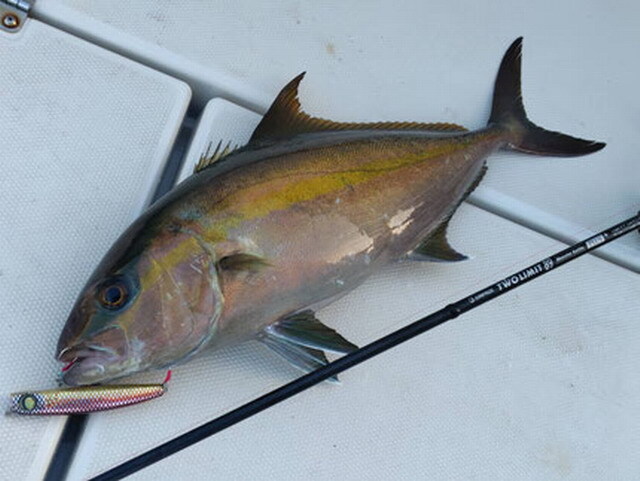 ジャンプライズ（JUMPRIZE） ツーリミット 89 モンスターバトル プラス