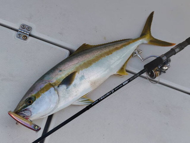 ジャンプライズ（JUMPRIZE） ツーリミット 89 モンスターバトル プラス